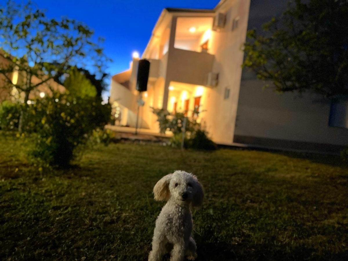 Apartments Fortuna ビオグラード・ナ・モル エクステリア 写真